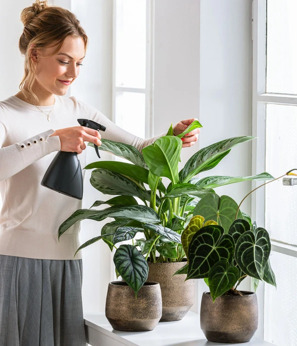 Dehner Keramik-Übertopf Mathea, Bauchig, Gold/braun – Bild 4