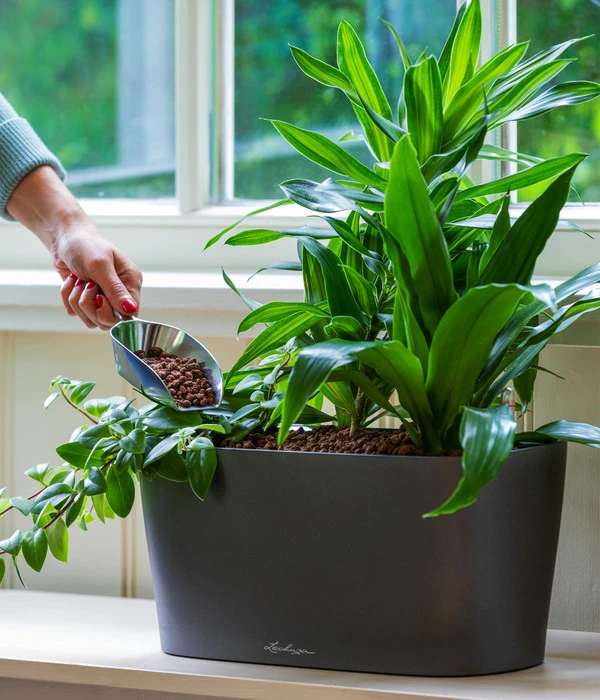 LECHUZA® Kasten DELTA, All-in-One-Set – Bild 2