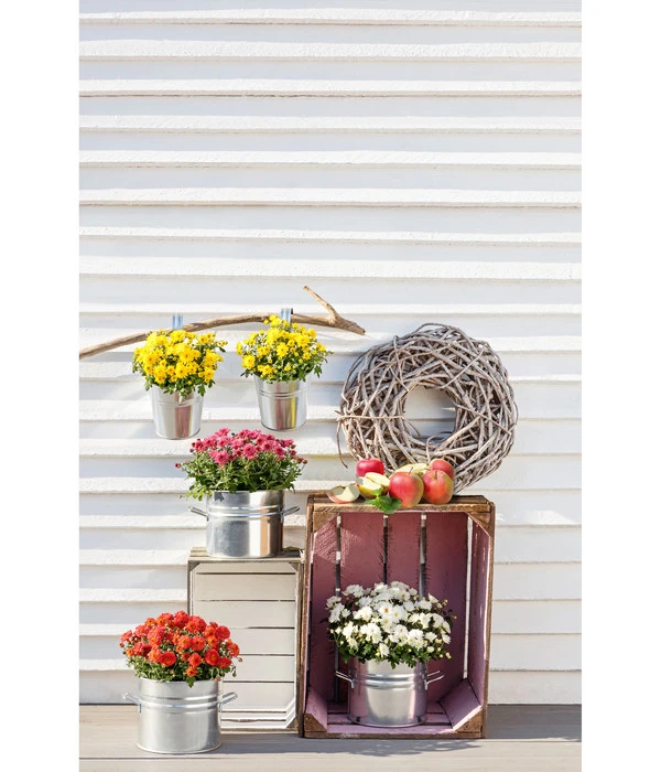 Zinktopf Mit Bügelhalter, Rund – Bild 3