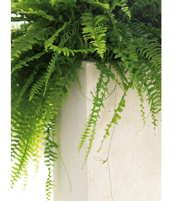 Fleur Ami Polystone-Raumteiler Divide, Rechteckig, Ca. B100/H30/T35 Cm – Bild 3