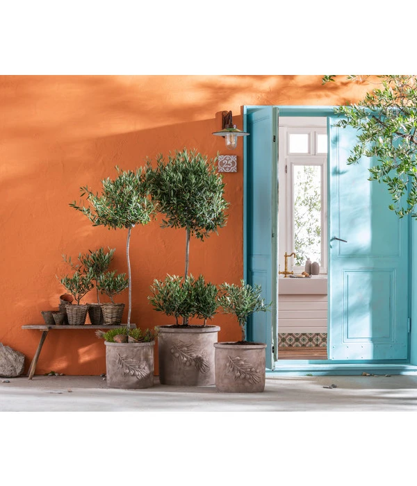 Dehner Terrakotta-Topf, Terrakotta-antik – Bild 3