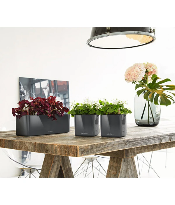 LECHUZA® CUBE Glossy, All-in-One Set – Bild 3