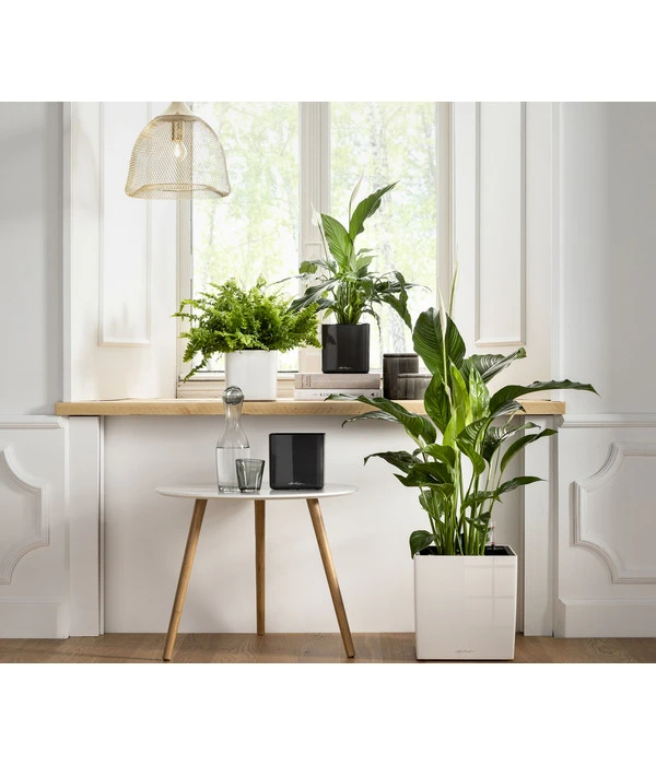 LECHUZA® CUBE Glossy, All-in-One Set – Bild 4