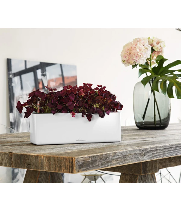 LECHUZA® CUBE Glossy Triple, All-in-One Set, 40 Cm – Bild 4