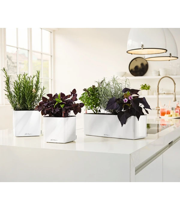 LECHUZA® CUBE Glossy Triple, All-in-One Set, 40 Cm – Bild 3