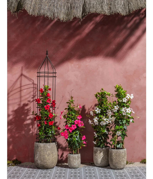 Dehner Keramik-Topf Bungxe, Meliert – Bild 3