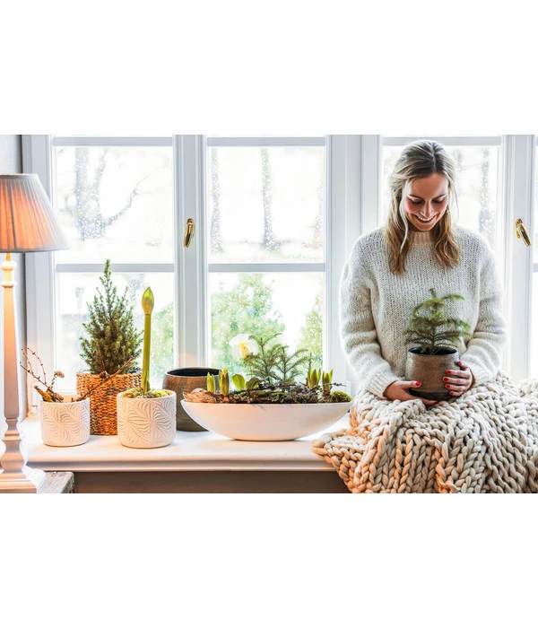 Dehner Keramik-Jardiniere Luisa, Oval, Weiß, Ca. B51/H12,5 Cm – Bild 2