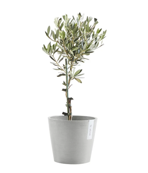 Ecopots Kunststoff-Topf Amsterdam Mit Wassersystem, Rund, Hellgrau – Bild 4