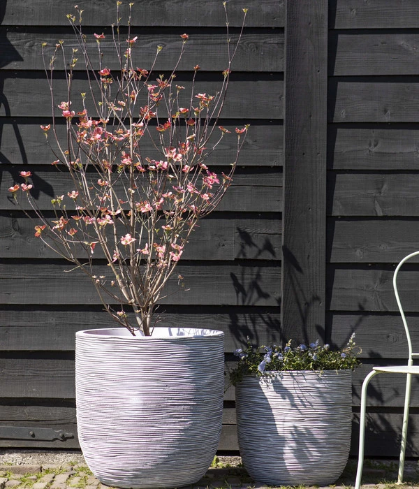 Capi Europe Kunststoff-Topf Rib, Rund – Bild 2