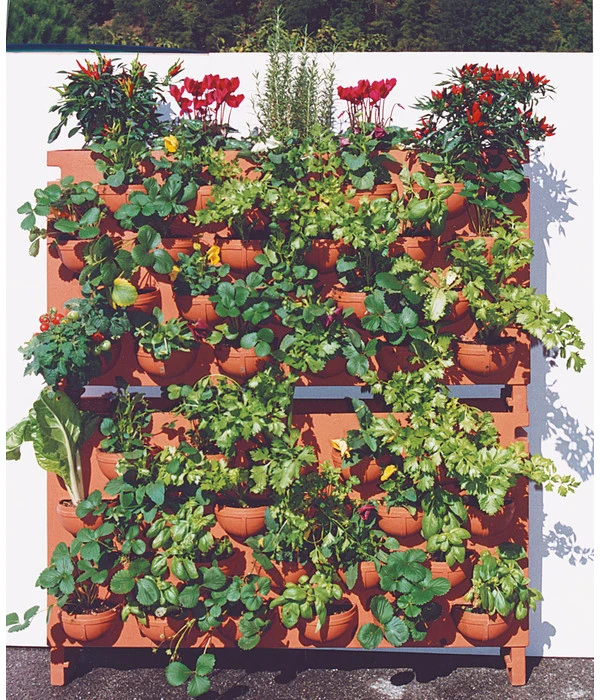 Farmet Kunststoff-Kasten Orto Di Giulio – Bild 2