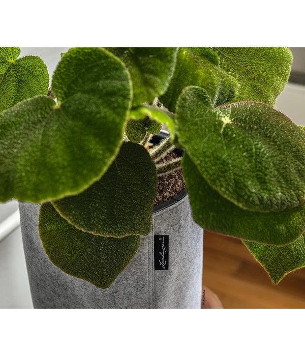 LECHUZA® TRENDCOVER Felt, All-in-One Set – Bild 4