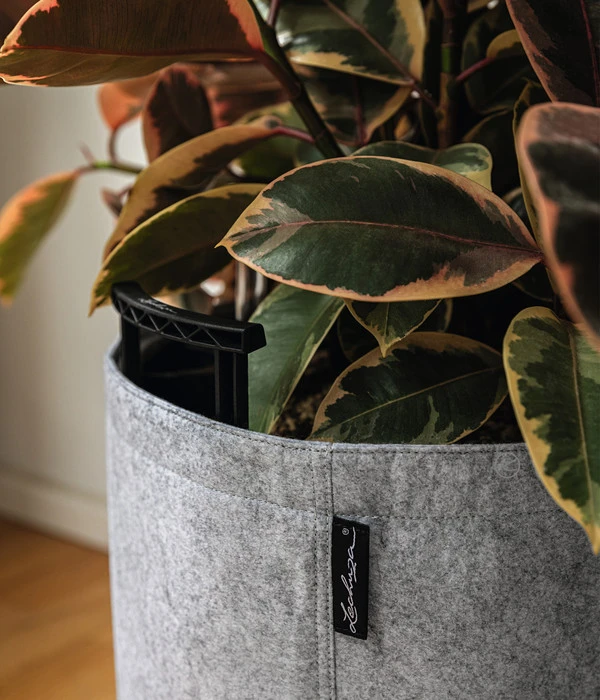 LECHUZA® TRENDCOVER Felt, All-in-One Set – Bild 5