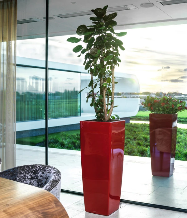 LECHUZA® CUBICO ALTO, All-in-One-Set, Ca. B40/H105/T40 Cm – Bild 3