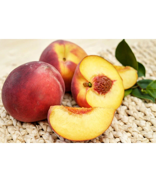 Gelbfleischiger Pfirsich – Bild 5