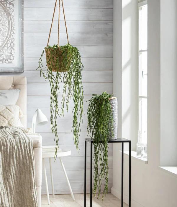 Dehner Keramik-Vase Toni, Rund, Grau – Bild 3