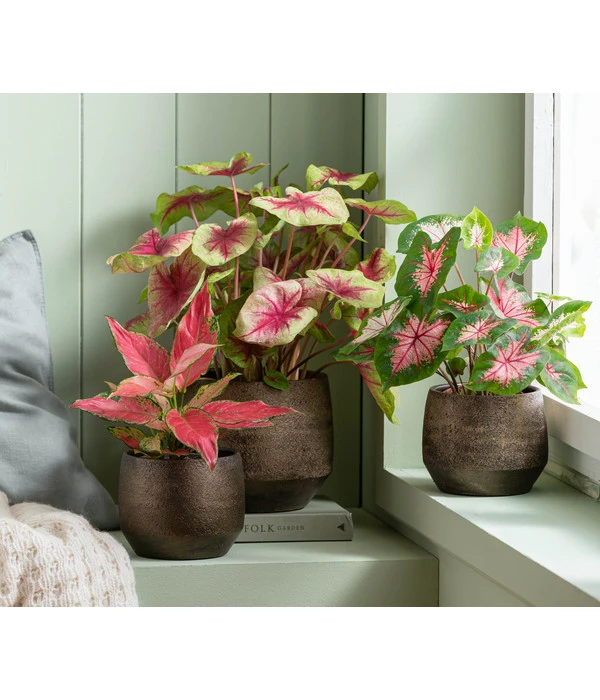 Dehner Keramik-Übertopf Mathea, Bauchig, Gold/braun – Bild 2