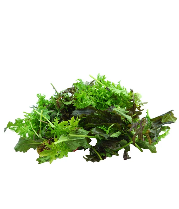 Bio Asia Wildkräuter Im Pottburri®-Topf – Bild 4