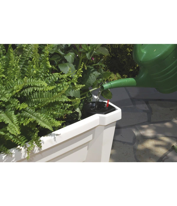 KHW Kunststoff-Pflanzkasten Calypso, Inkl. Spalier Und Rollen – Bild 3